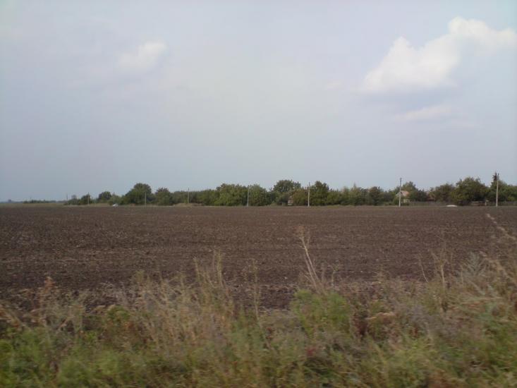 Веселе Поле з panoramio.com - Веселое Поле