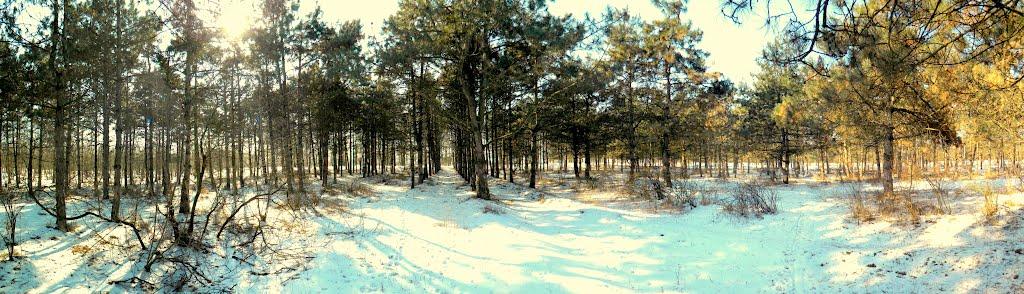 Снігурівка з panoramio.com - Снигиревка