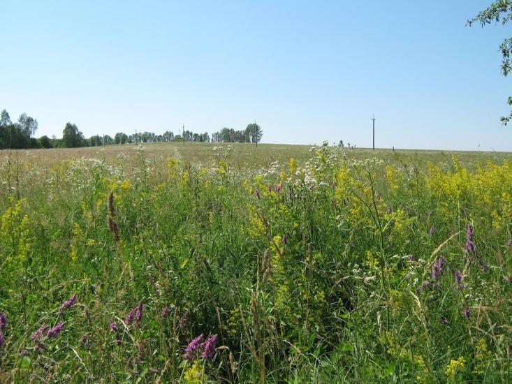Дебеславці з panoramio.com - Debeslavtsi