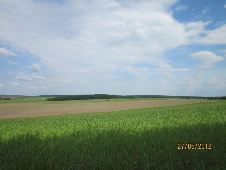 Бабин з panoramio.com - Babyn