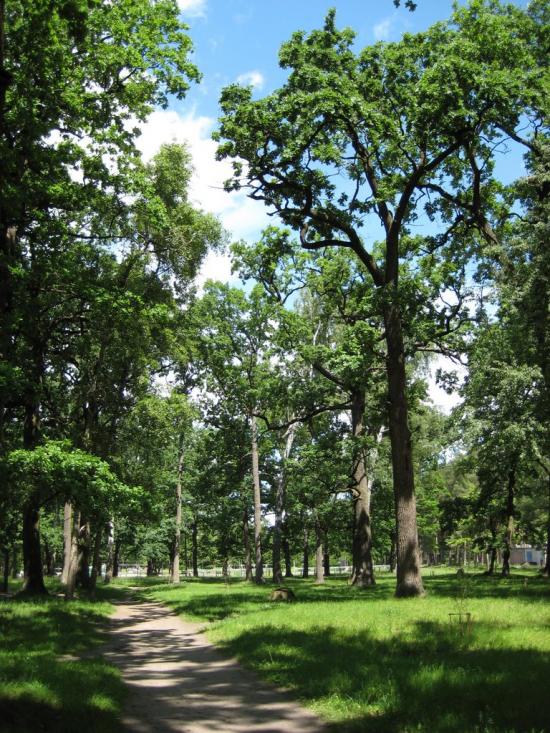 Озерне з panoramio.com - Озерне