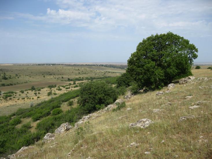 Маловидне з panoramio.com - Маловидне