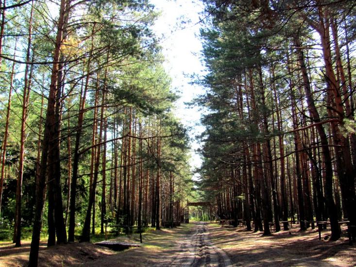 Костюхнівка з panoramio.com - Костюхнівка