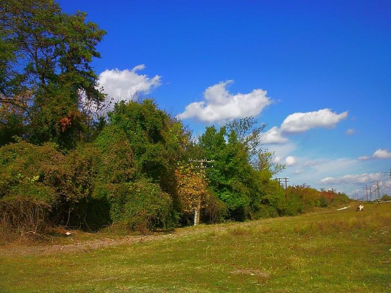 Ароматне з panoramio.com - Aromatne