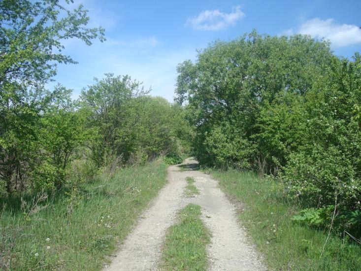 Мацьківці з panoramio.com - Мацьківці
