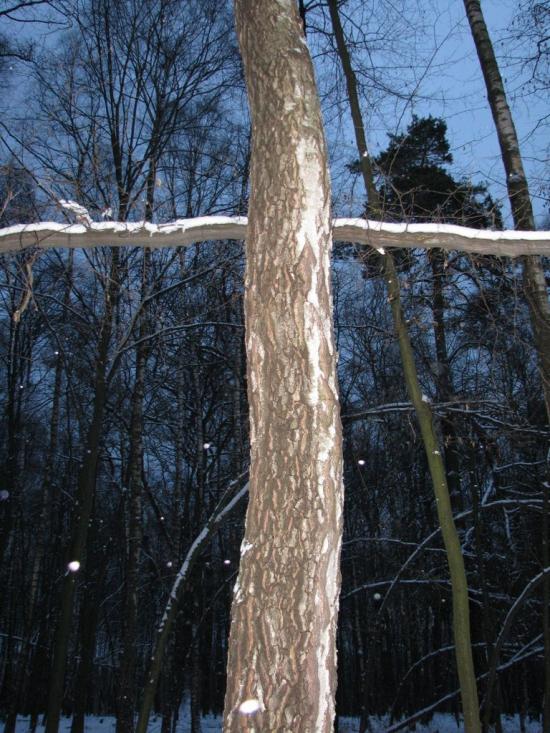 Рясне-Руське з panoramio.com - Рясное-Русское