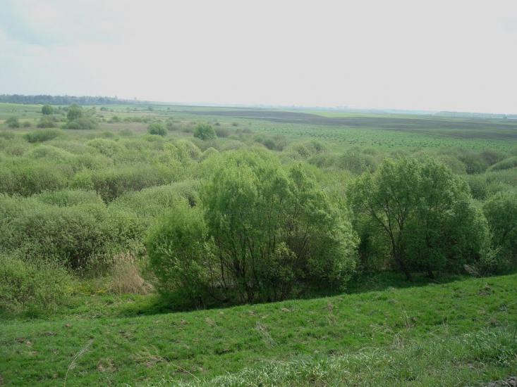 Великі Пузирки з panoramio.com - Великі Пузирки