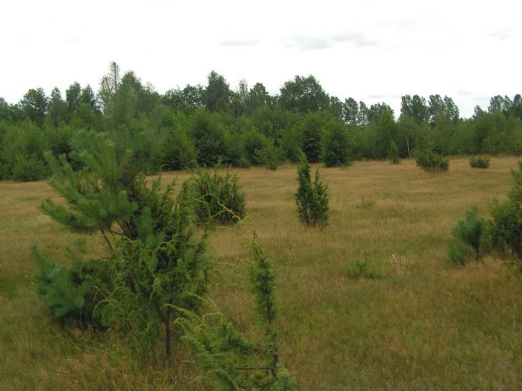 Заозерне з panoramio.com - Заозерне