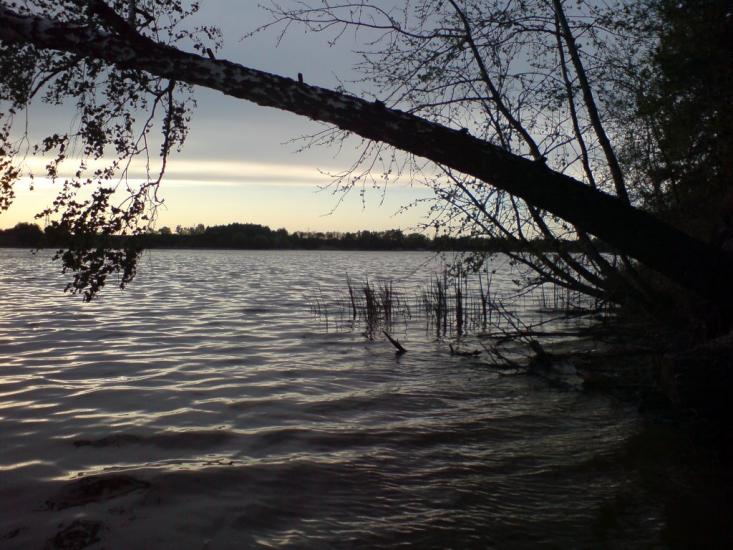 Забір'я з panoramio.com - Zabirya