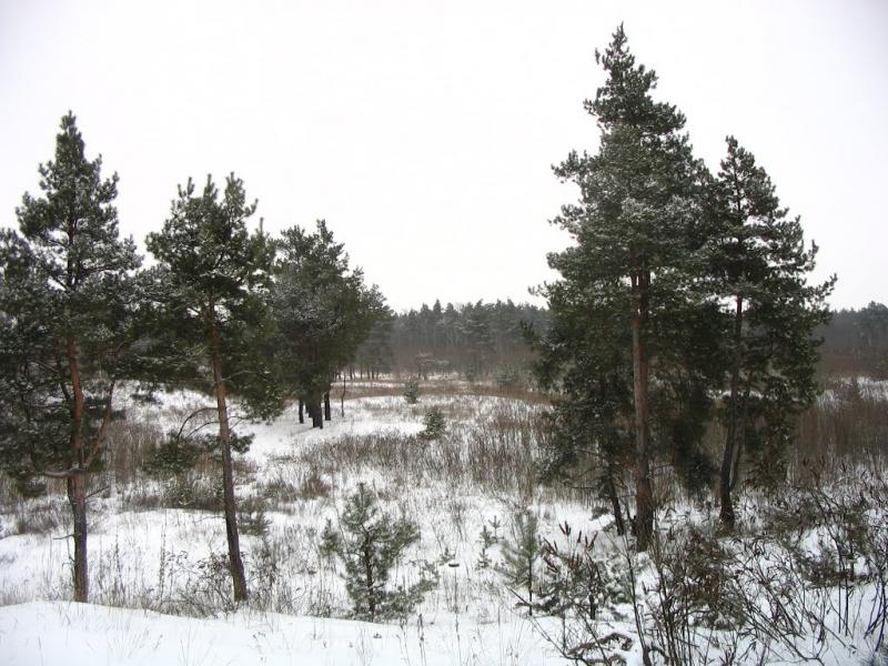 Горянівське з panoramio.com - Горянівське