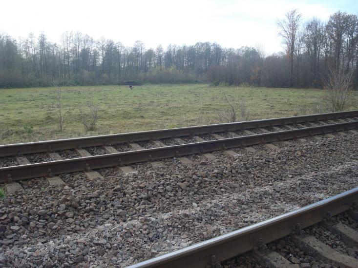 Мартинівка з panoramio.com - Мартинівка