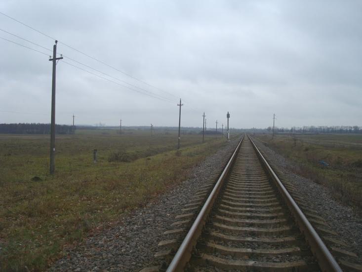 Воронківці з panoramio.com - Воронковцы