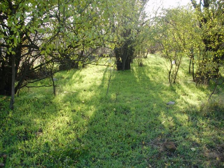 Козубівка з panoramio.com - Козубівка