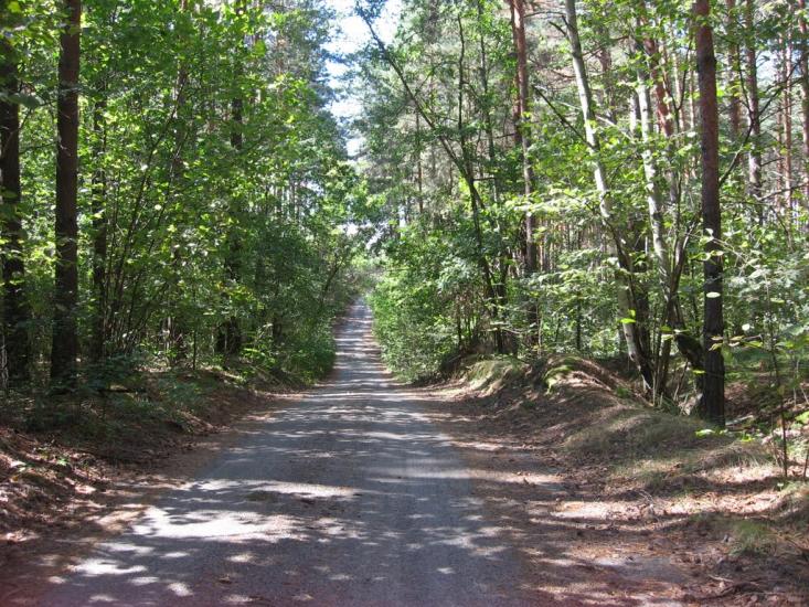 Візня з panoramio.com - Візня
