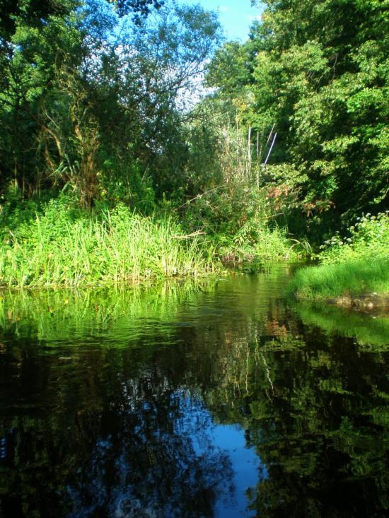 Верхоли з panoramio.com - Верхолы