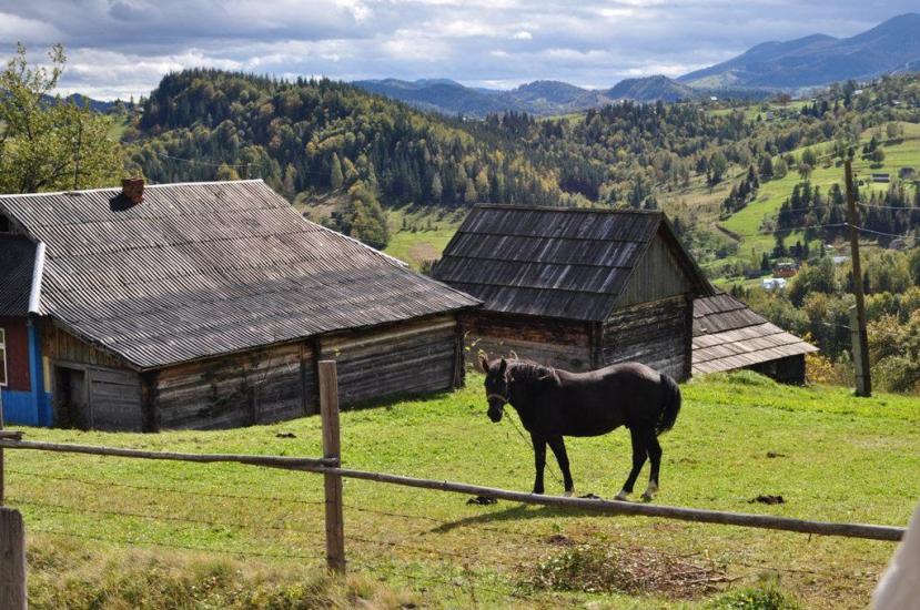 Акрешори з panoramio.com - Акрешоры
