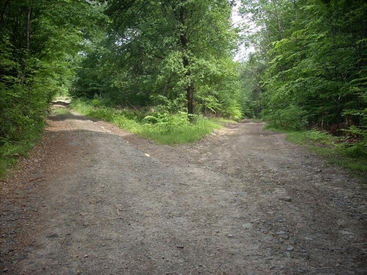 Кам'яниця з panoramio.com - Кам'яниця