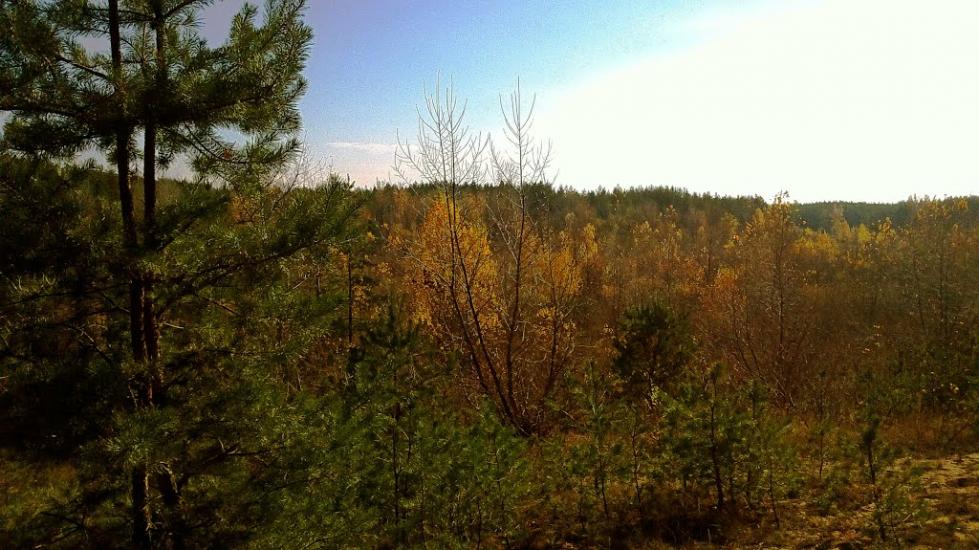 Варварівка з panoramio.com - Варваровка