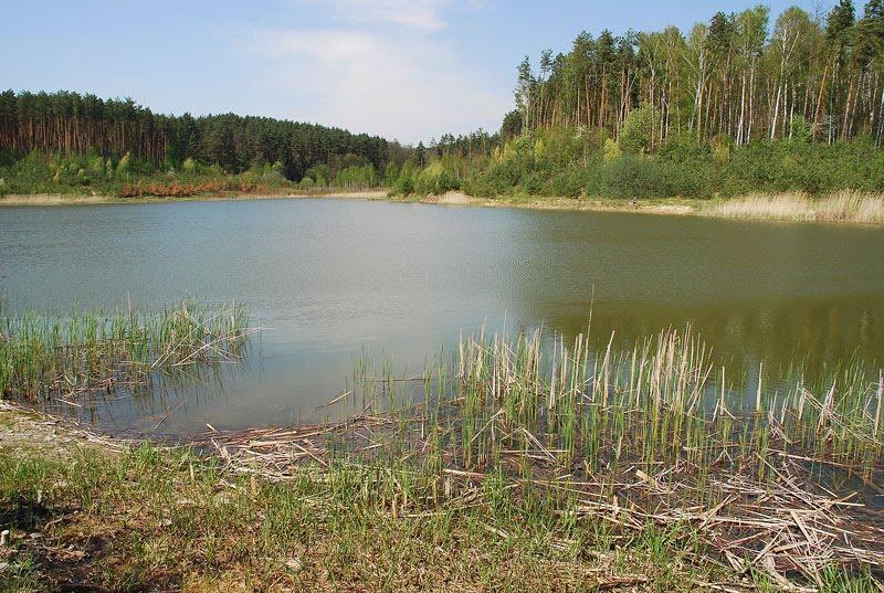 Житомир з panoramio.com - Житомир