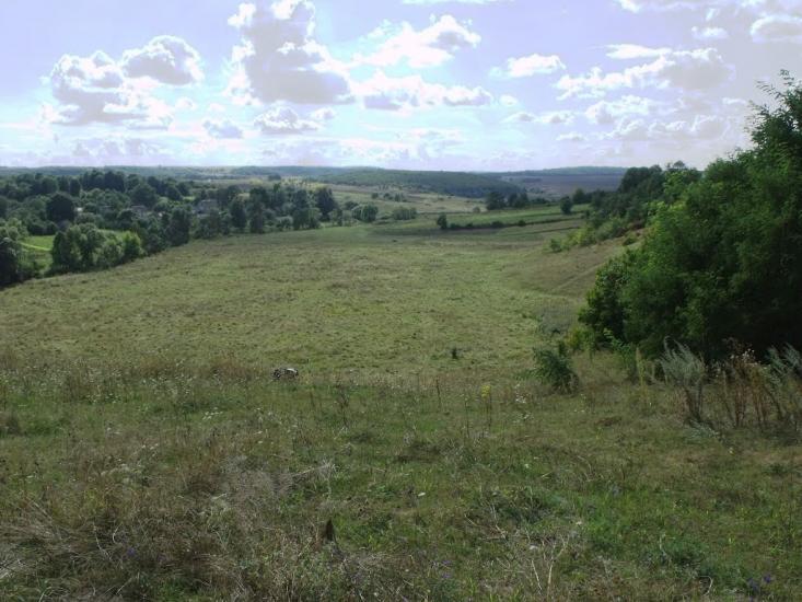Стеблівка з panoramio.com - Стеблівка