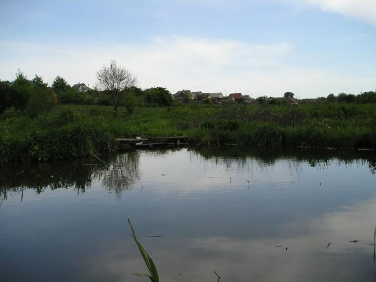 Черкаська Лозова з panoramio.com - Черкасская Лозовая