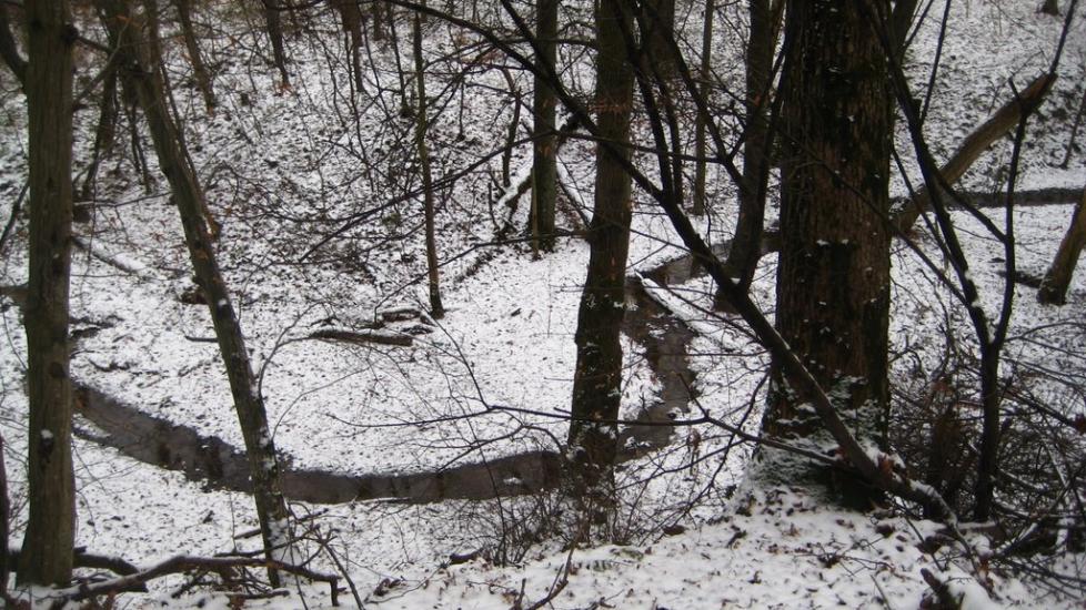 Пасіки-Зубрицькі з panoramio.com - Пасеки-Зубрицкие
