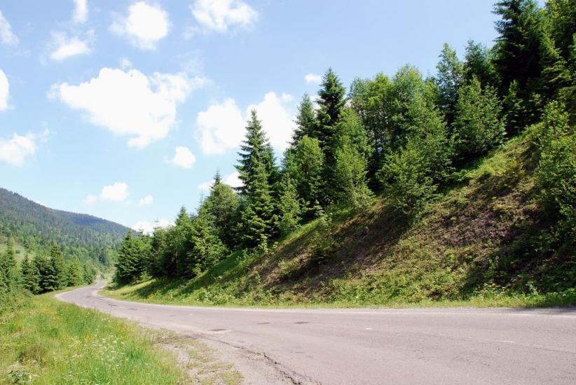 Стригальня з panoramio.com - Strygalnya
