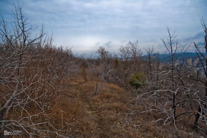 Тургенєвка з panoramio.com - Тургенєвка