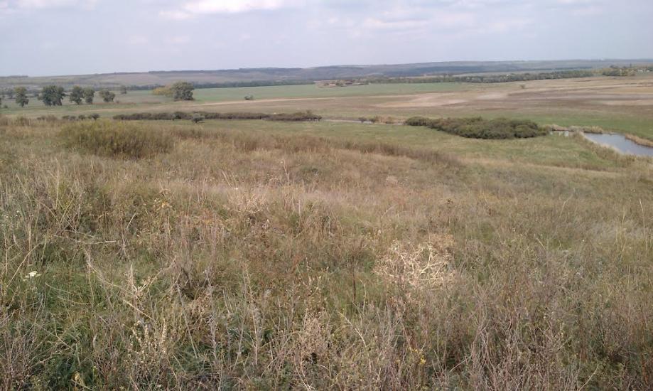 Кам'янка з panoramio.com - Камянка