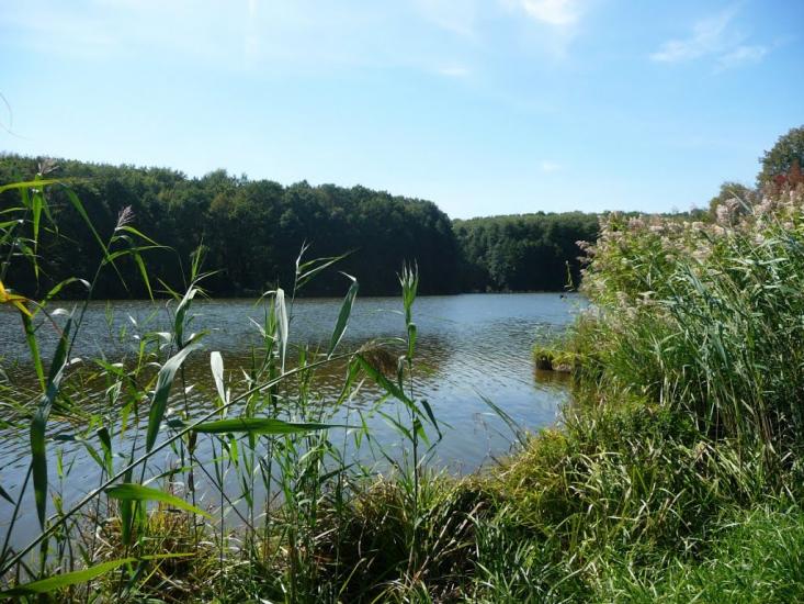 Бабаї з panoramio.com - Бабаи