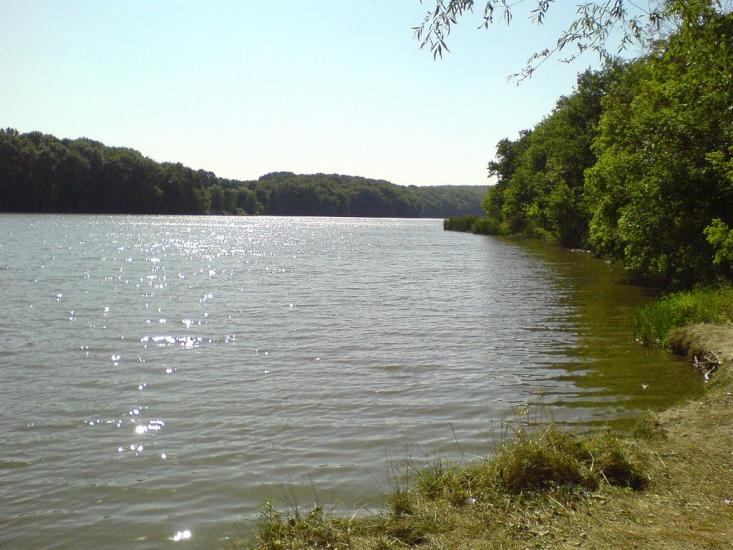 Комісарівка з panoramio.com - Комиссаровка