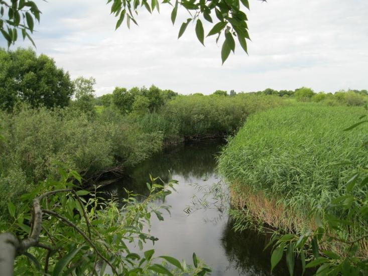 Хотешів з panoramio.com - Хотешов