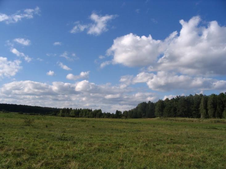 Тарасенки з panoramio.com - Тарасенки