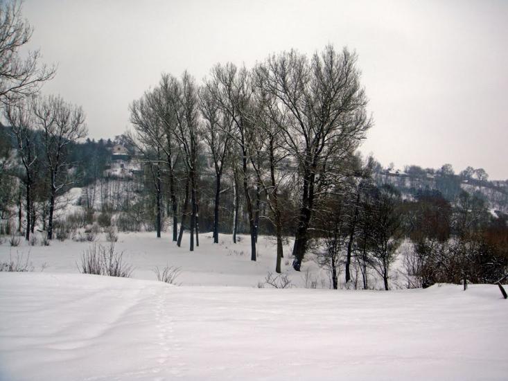 Кузьмин з panoramio.com - Кузьмин