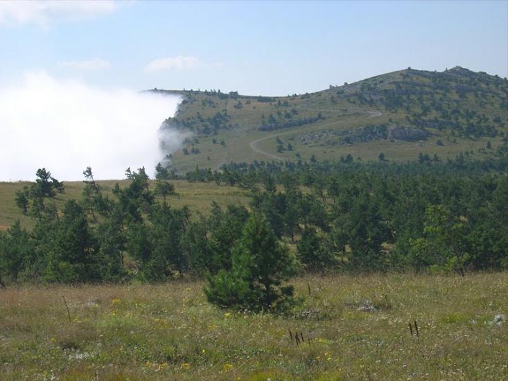 Відрадне з panoramio.com - Отрадное