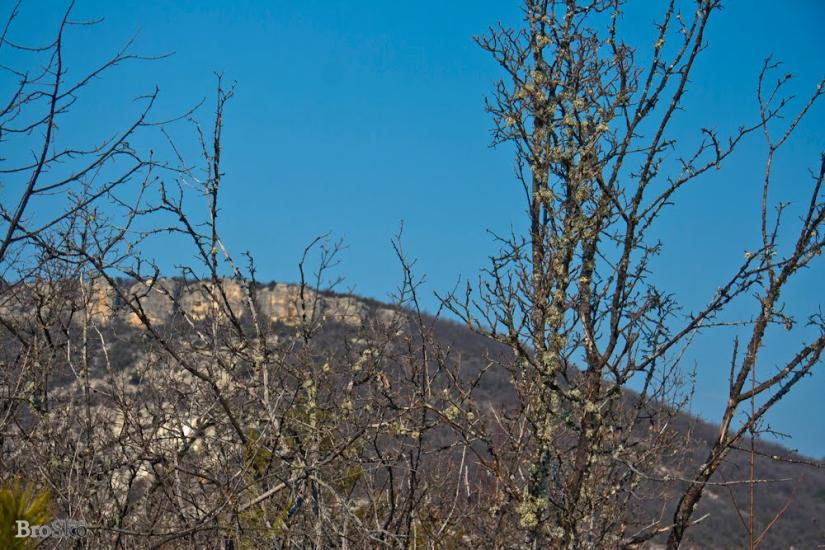Прохладне з panoramio.com - Прохладное