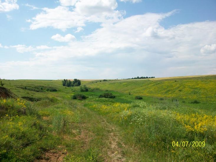 Михайлівка з panoramio.com - Михайлівка