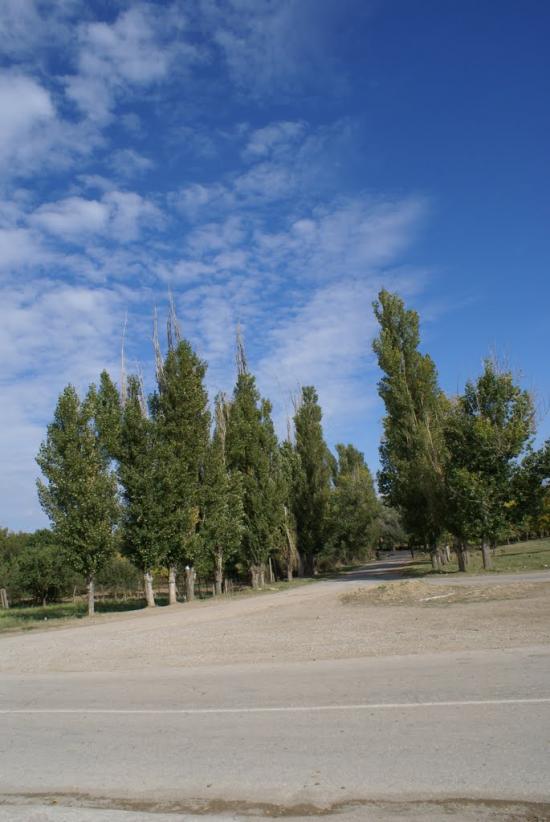 Кольчугине з panoramio.com - Кольчугине