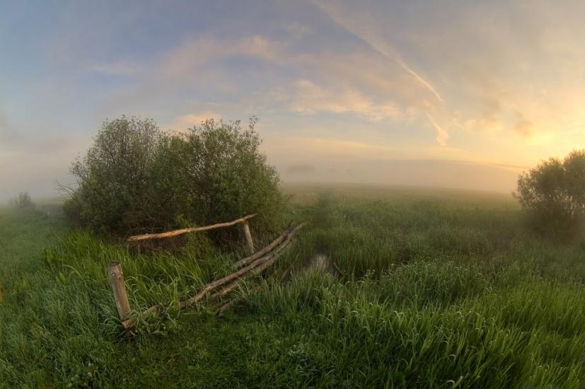 Черкаські Тишки з panoramio.com - Черкаські Тишки