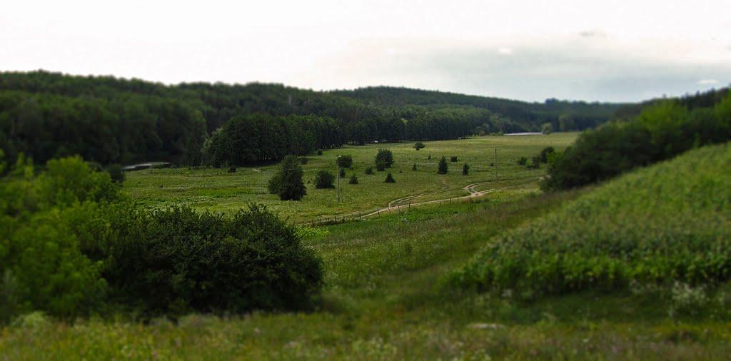 Прибузьке з panoramio.com - Prybuzke