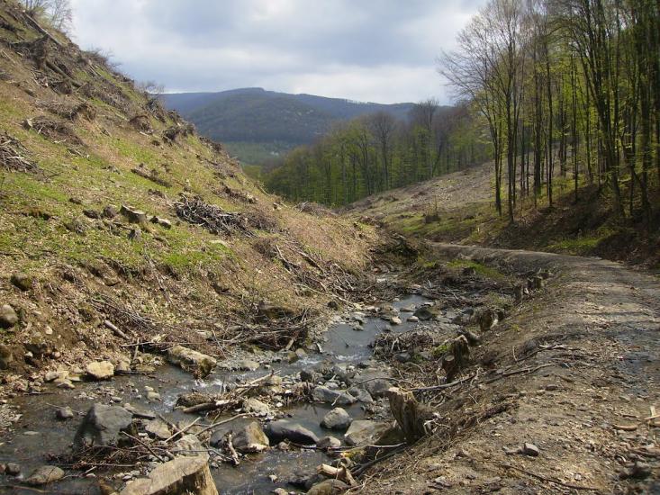 Ворочово з panoramio.com - Ворочево
