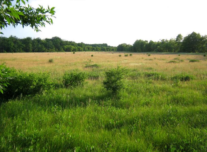 Сорокове з panoramio.com - Сороково
