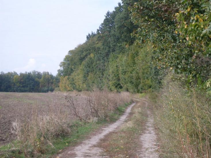 Кунка з panoramio.com - Кунка