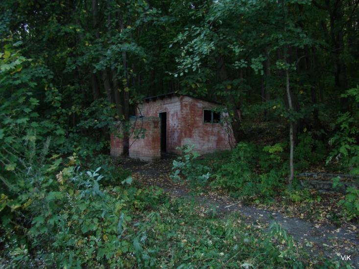 Зайченки з panoramio.com - Зайченки