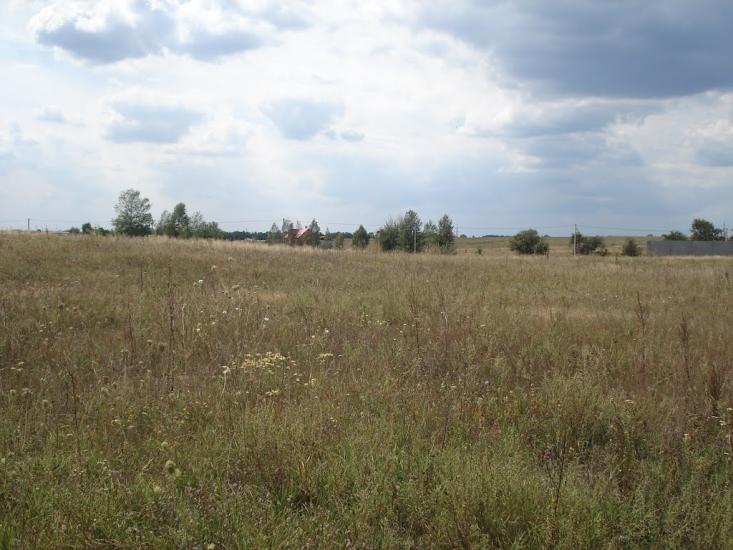 Калинівка з panoramio.com - Калиновка