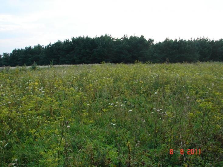 Чагарі-Збаразькі з panoramio.com - Чагарі-Збаразькі