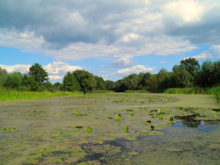 Єньків з panoramio.com - Еньков