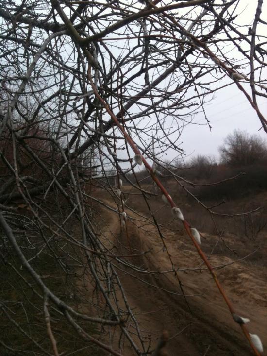 Михайло-Ларине з panoramio.com - Михайло-Ларине