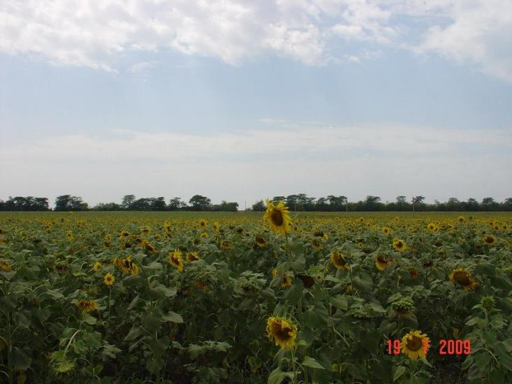 Холодна Балка з panoramio.com - Холодная Балка