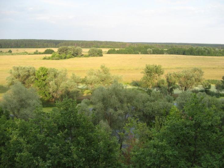Мохнач з panoramio.com - Мохнач